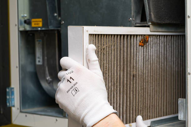 Best Duct Cleaning Specialists  in Nashwauk, MN
